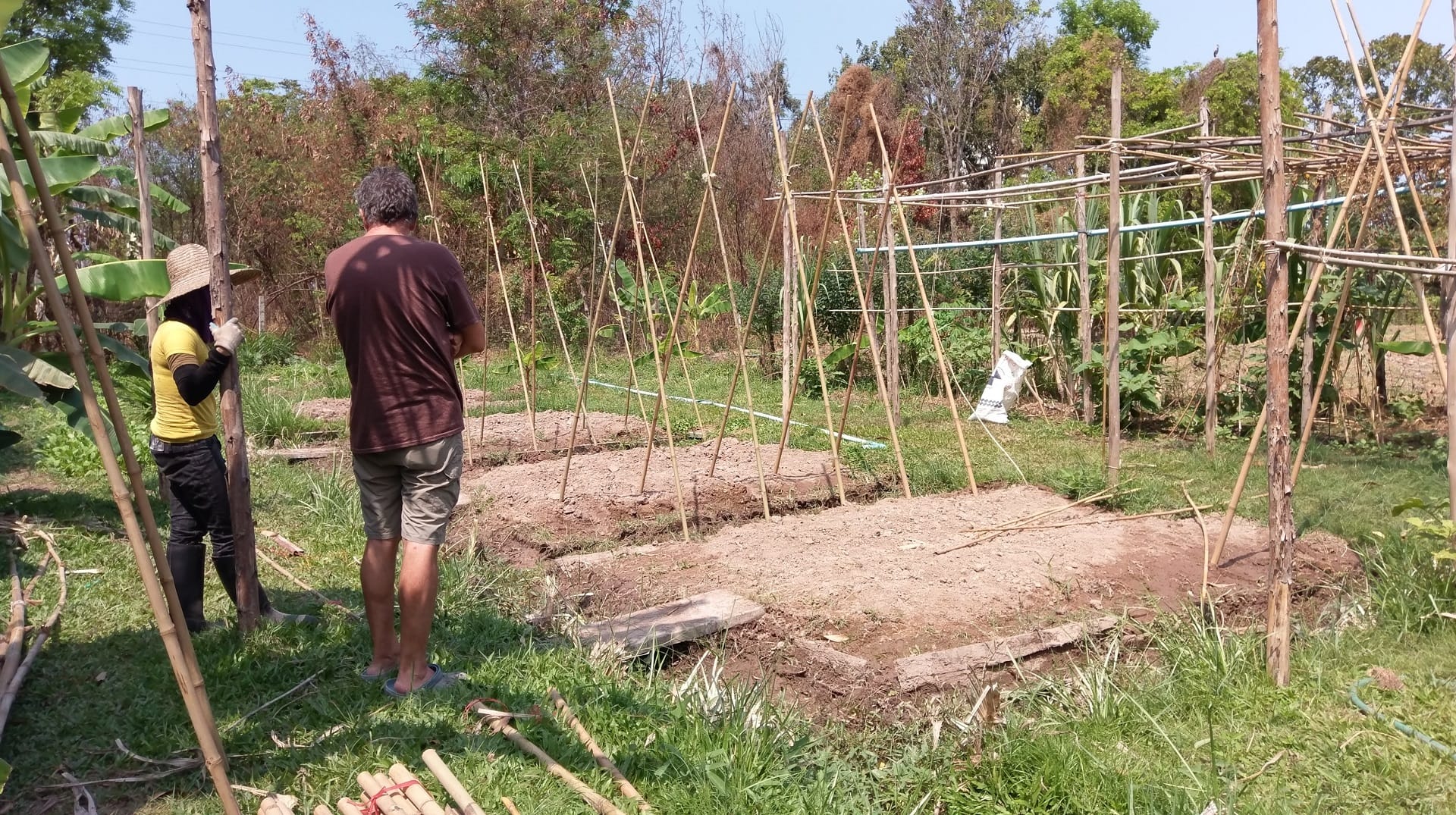Two volunteers standing in a garden plot at Daruma, one in a straw hat