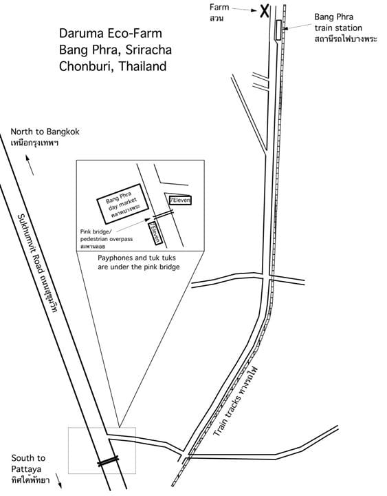 Hand-drawn location map for Daruma in Bang Phra, Si Racha, showing roads, the train station, the market and the pink pedestrian bridge, labelled in English and Thai