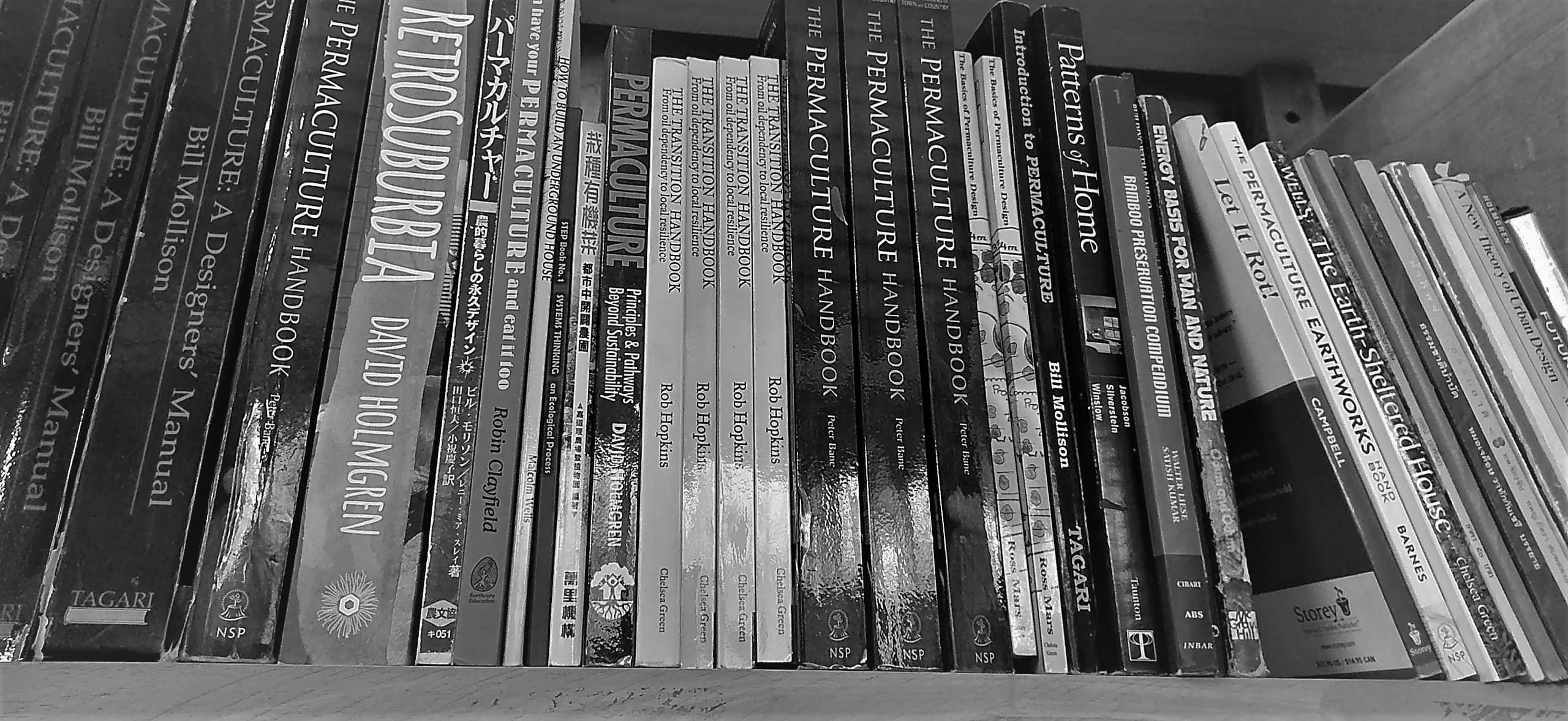 Bookshelf at the Daruma library showing permaculture titles including Mollison's Designers' Manual and Holmgren's RetroSuburbia