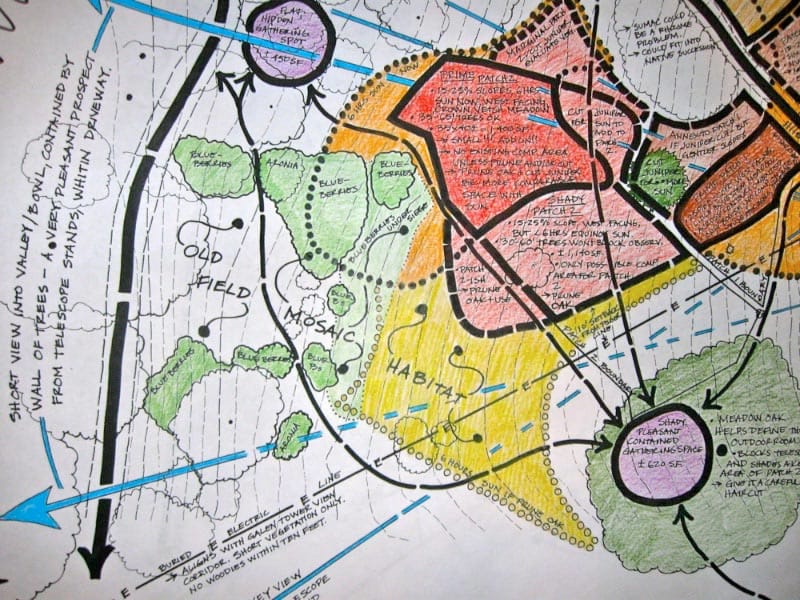Hand-drawn permaculture zone and sector plan with coloured zones, handwritten notes and blue directional arrows