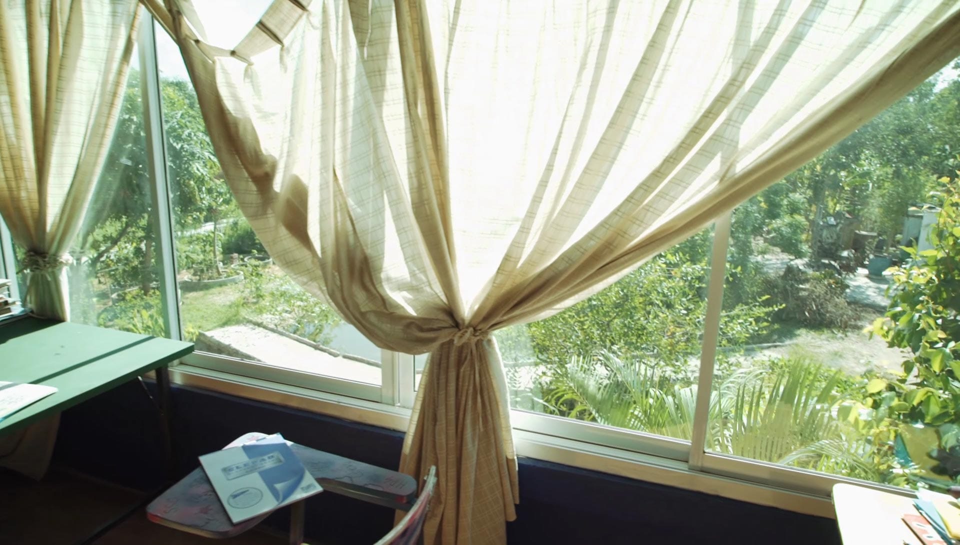 Sunlit window with sheer curtains tied back, looking out onto lush garden trees and palms at the Daruma grounds.
