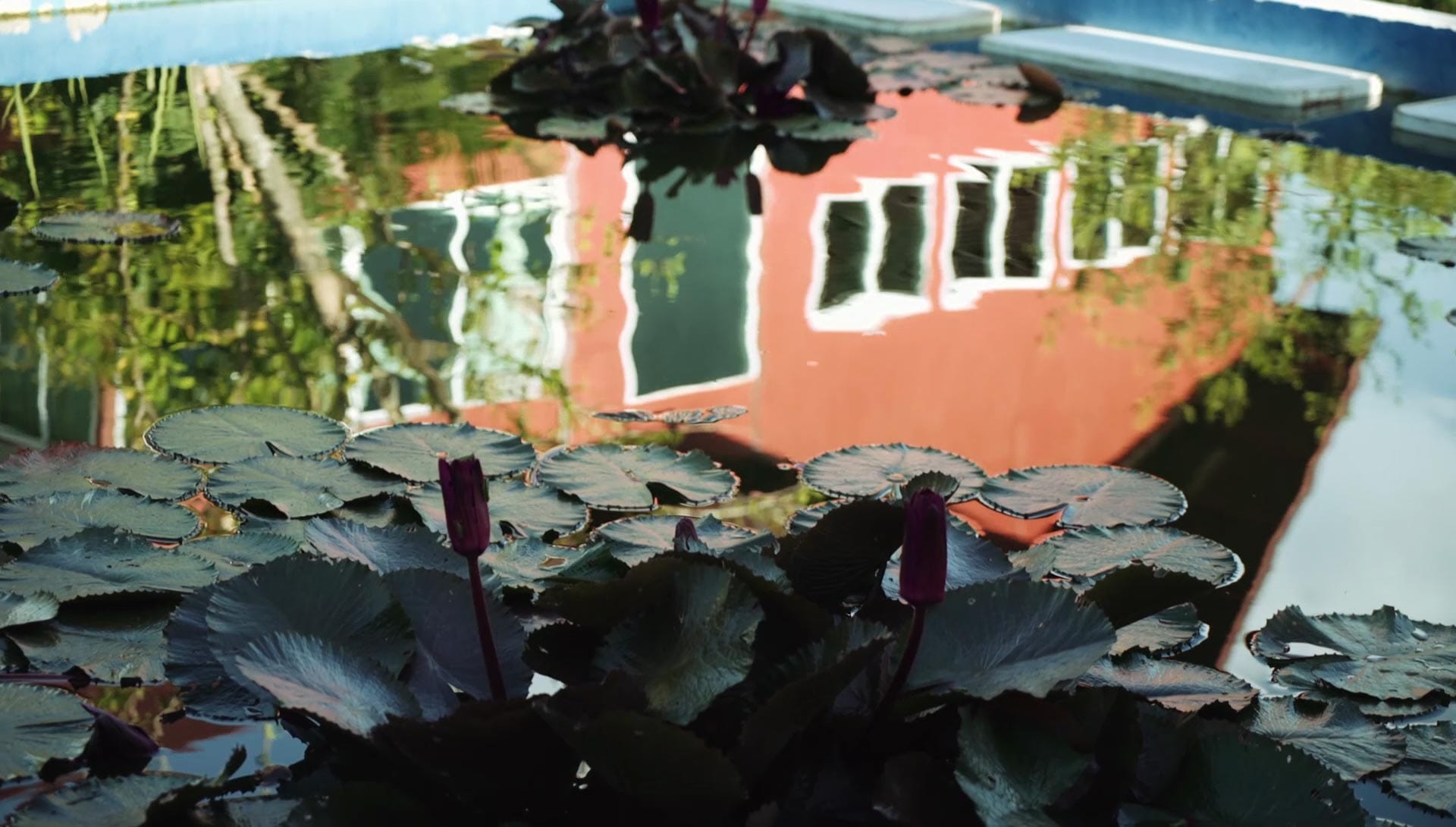 The pond in reflection, showing an upside-down mirror image of the building among lily pads and lotus buds