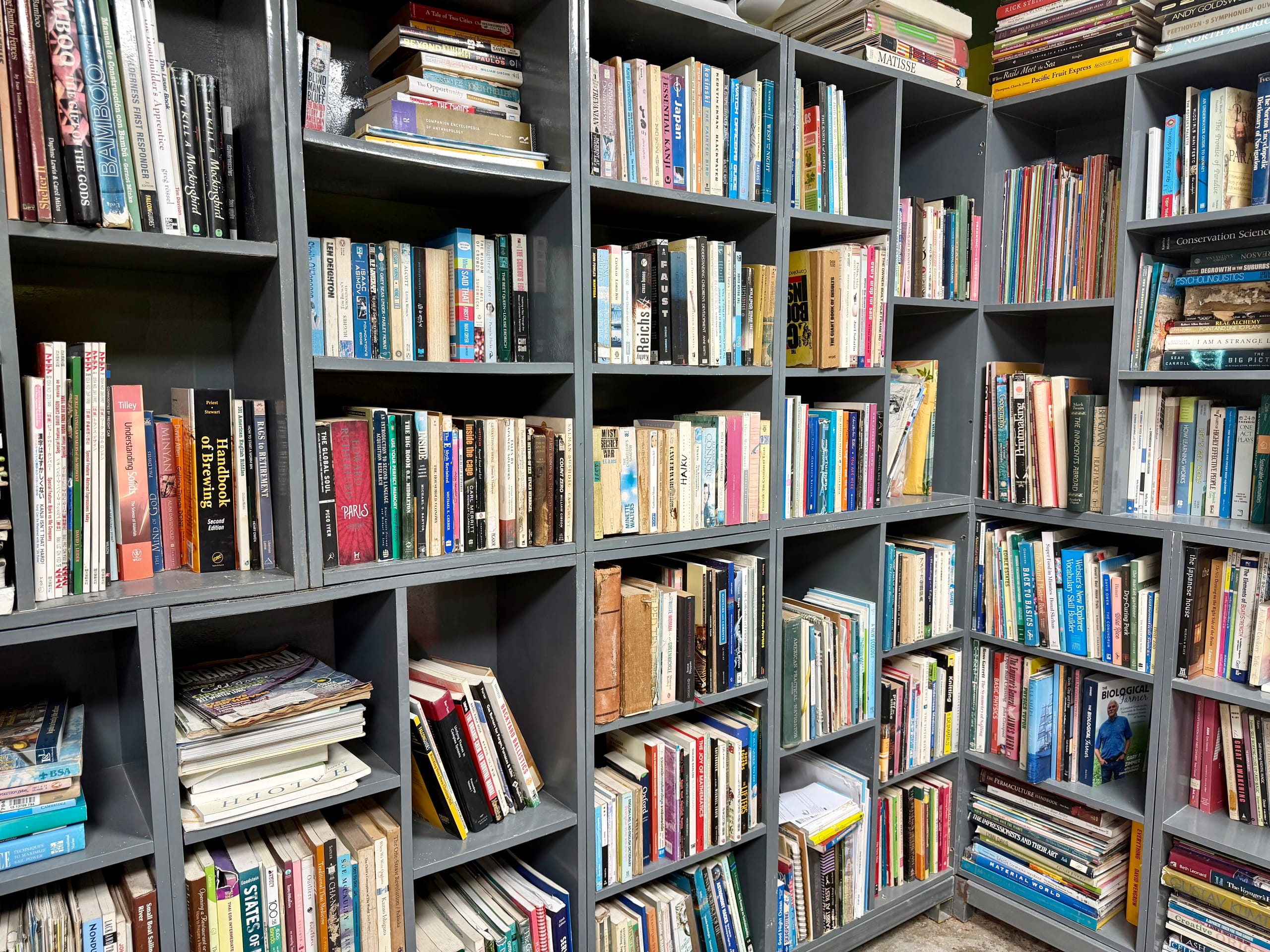 Floor-to-ceiling grey bookshelves at the Daruma library, packed with hundreds of books on bamboo, natural building and biological farming