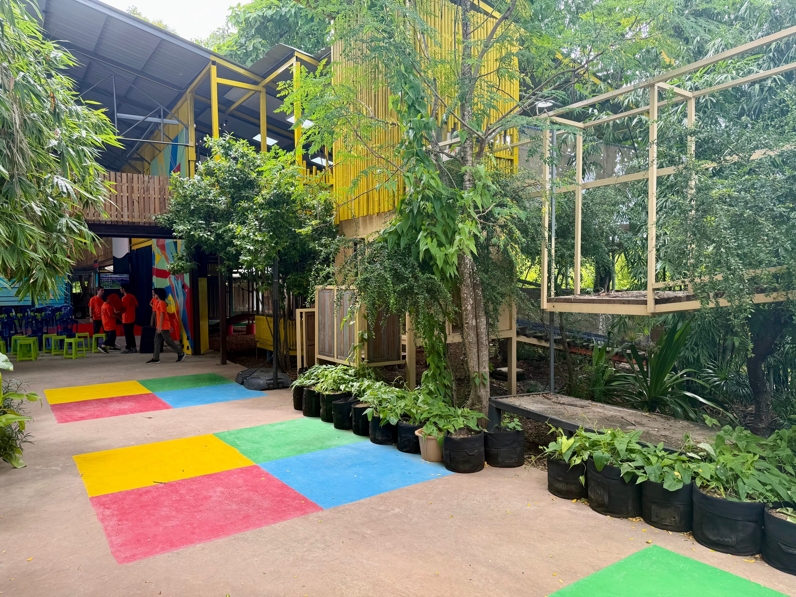 Mosaic School walkway with a bamboo tower built around a living tree