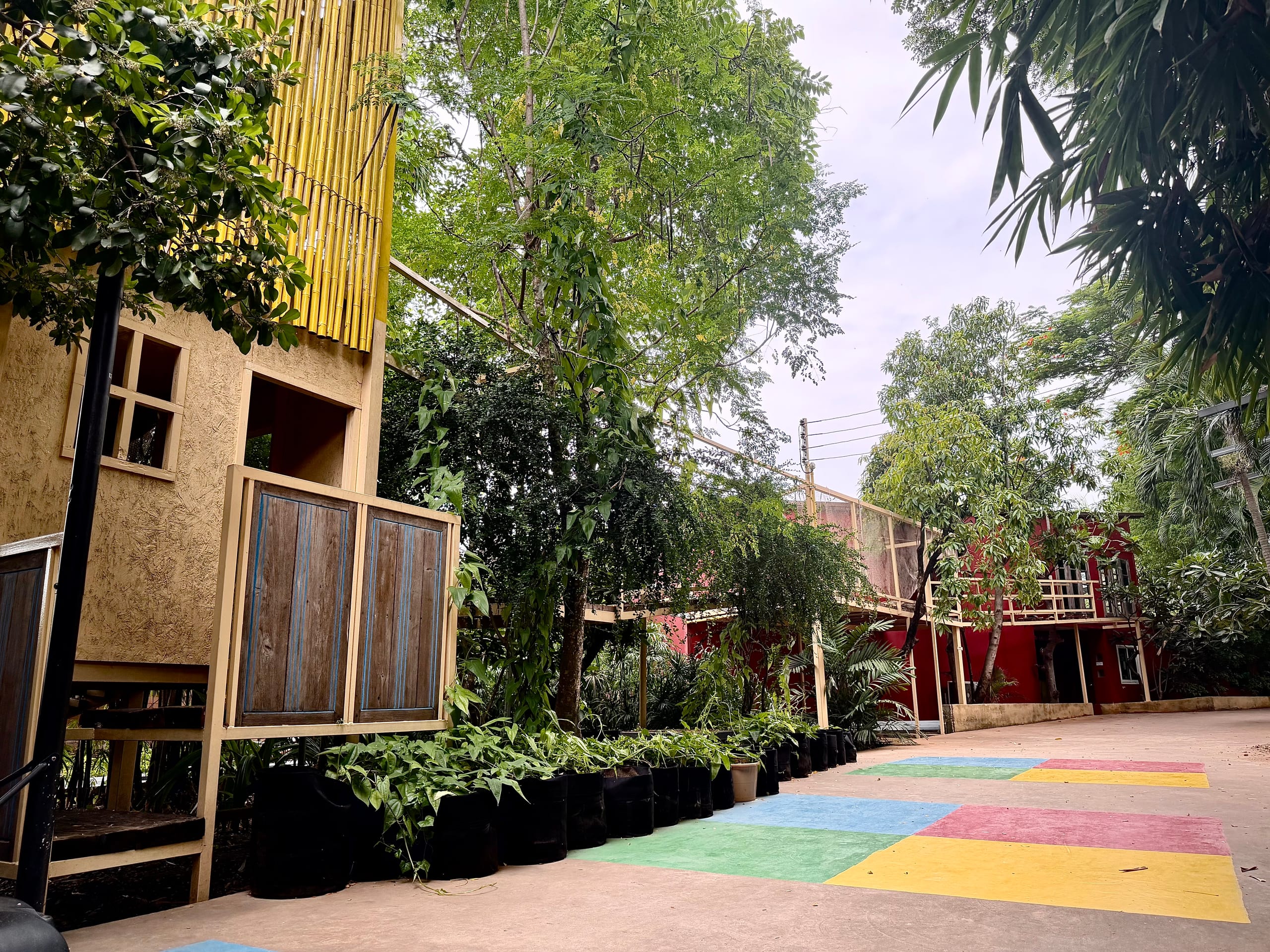 Mosaic School campus walkway between a bamboo-clad tower and a two-storey building, with a painted play area underfoot and trees overhead