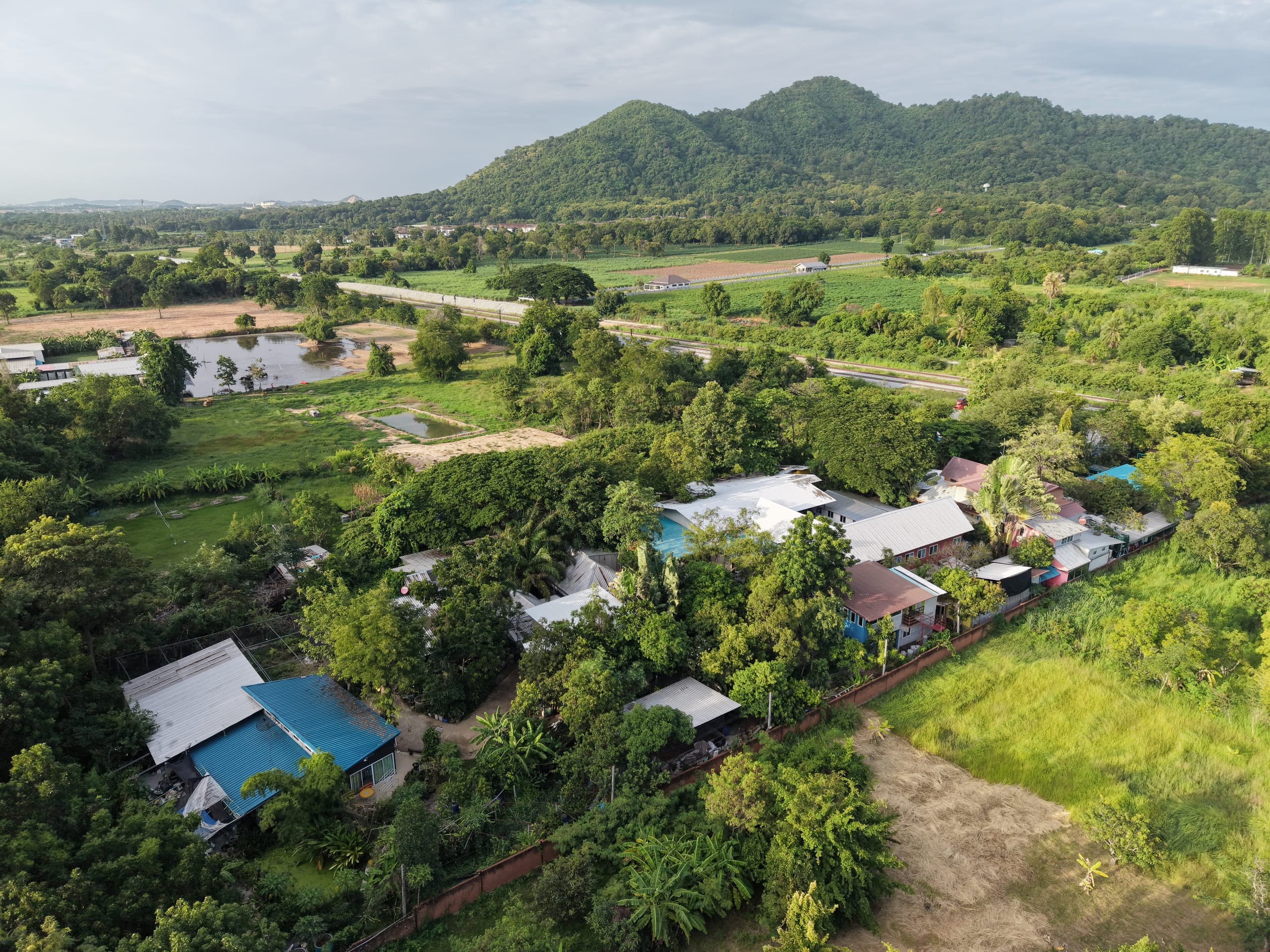 Aerial drone view of Daruma Eco Farm: buildings and the natural pool among dense trees, rice fields and forested mountains behind
