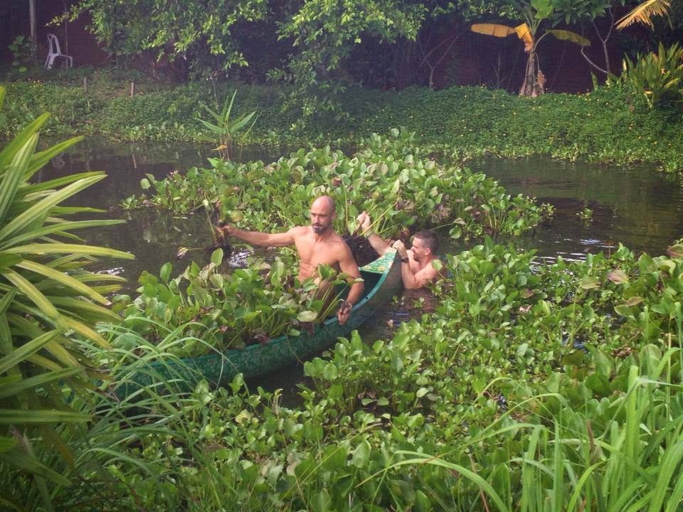 Two volunteers in a canoe pulling water hyacinth from a green pond at Daruma
