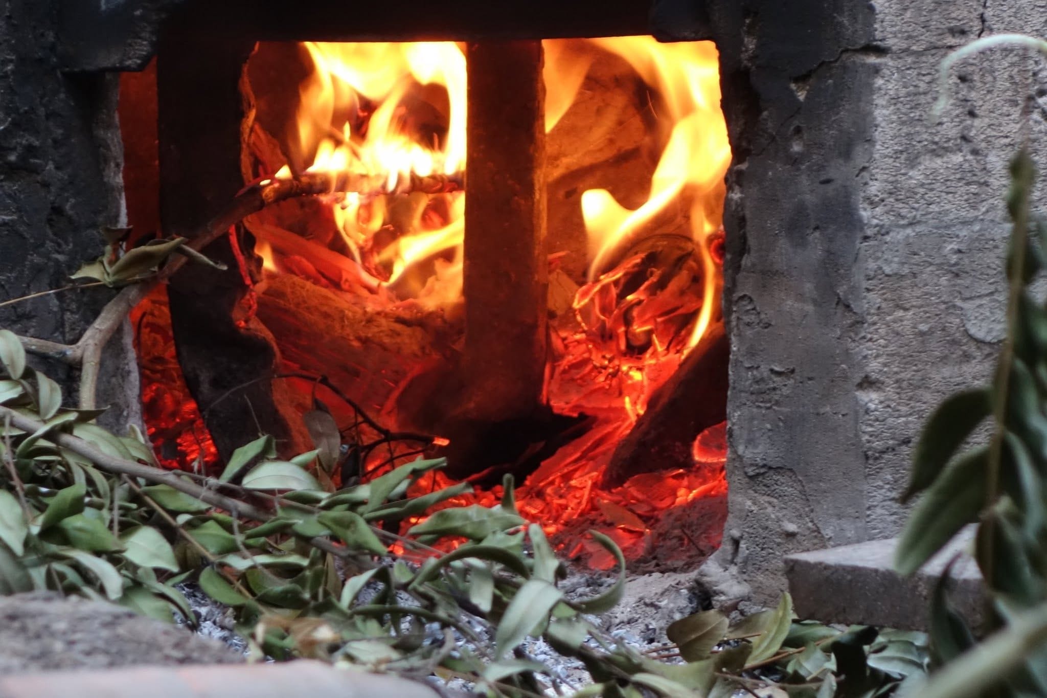 Glowing orange embers in an outdoor firebox, framed by green leaves