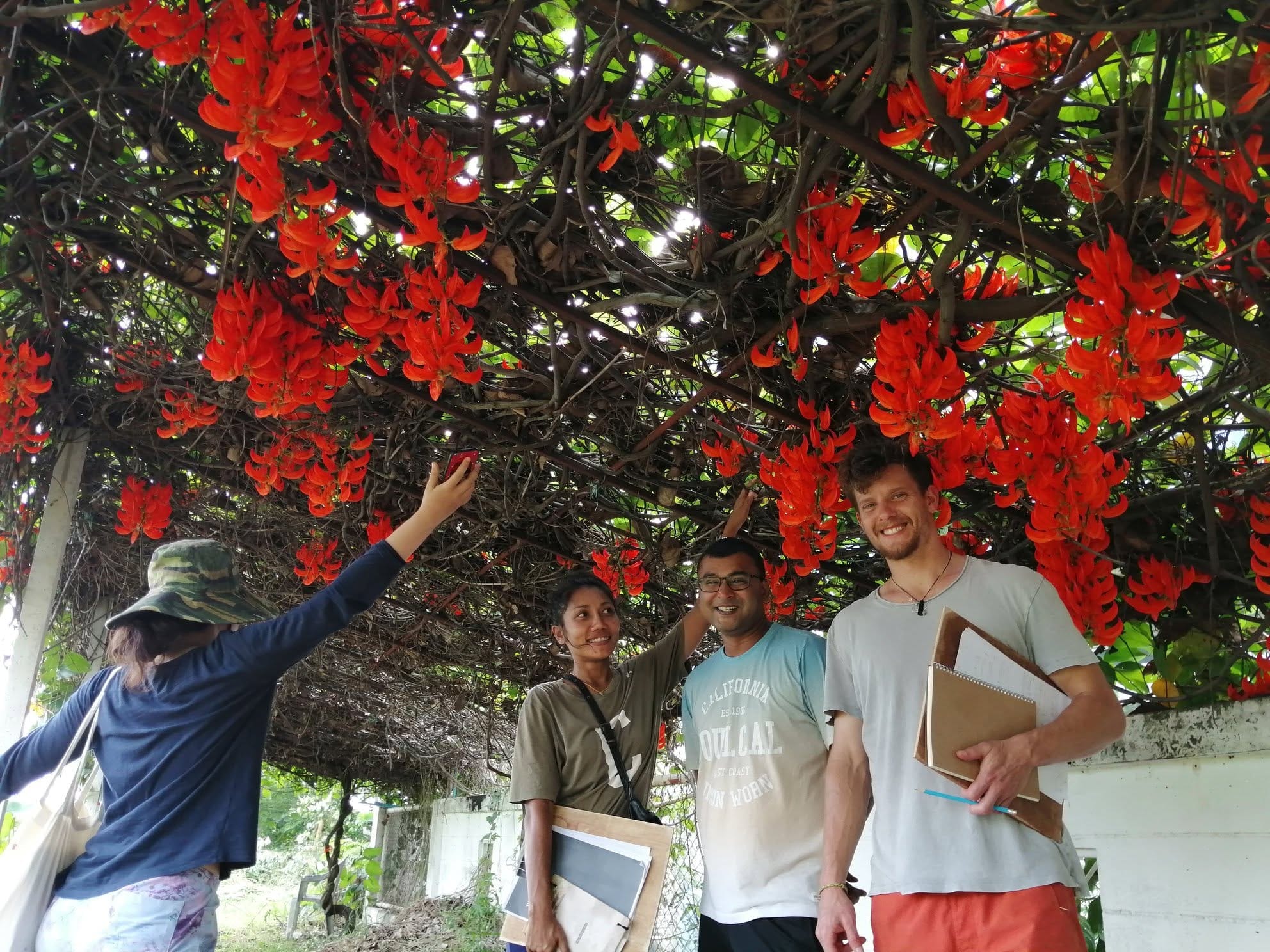 Four smiling course participants under a flowering pergola at Daruma