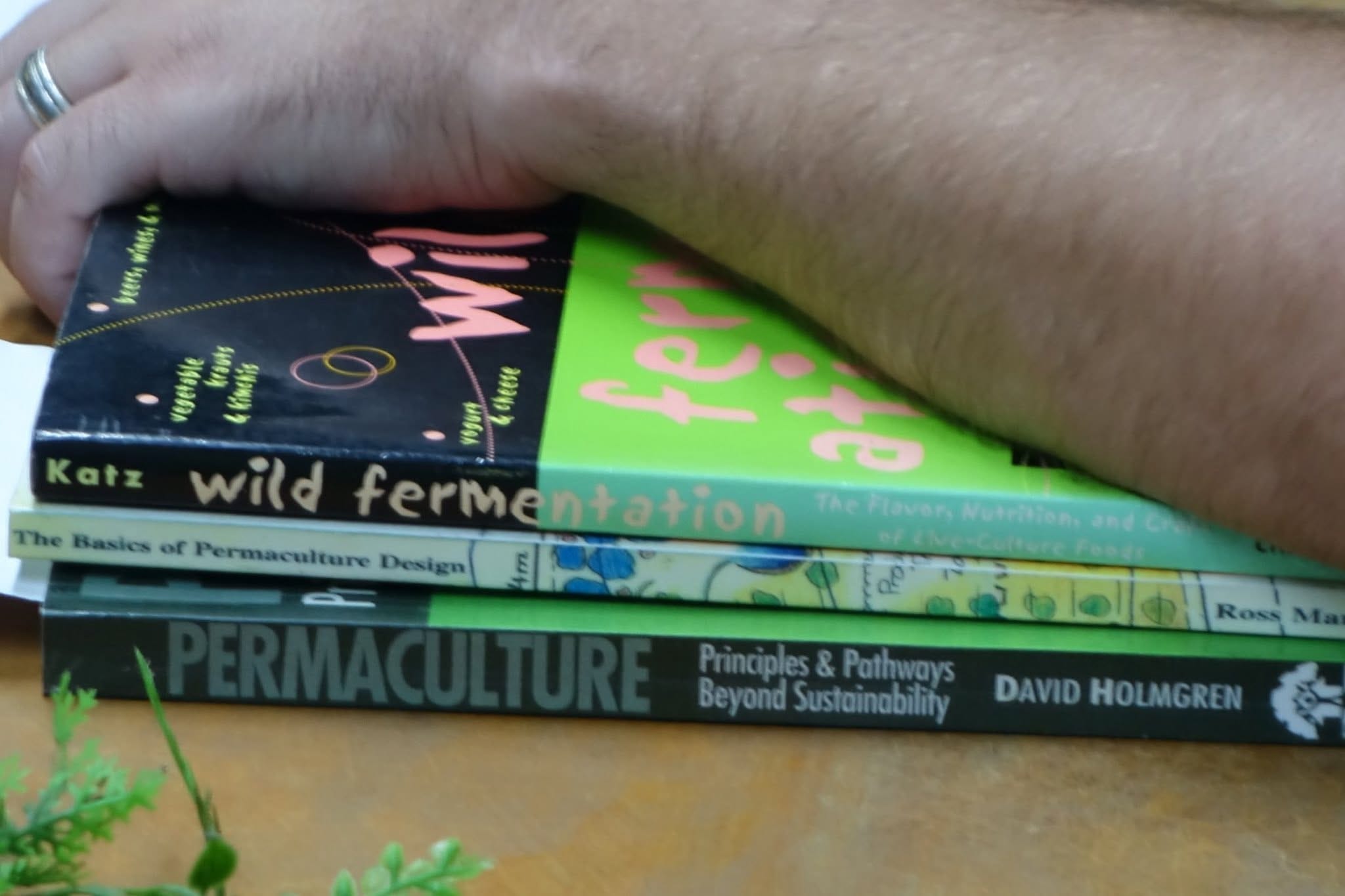A stack of permaculture and fermentation books on a wooden table, including titles by Sandor Katz and David Holmgren
