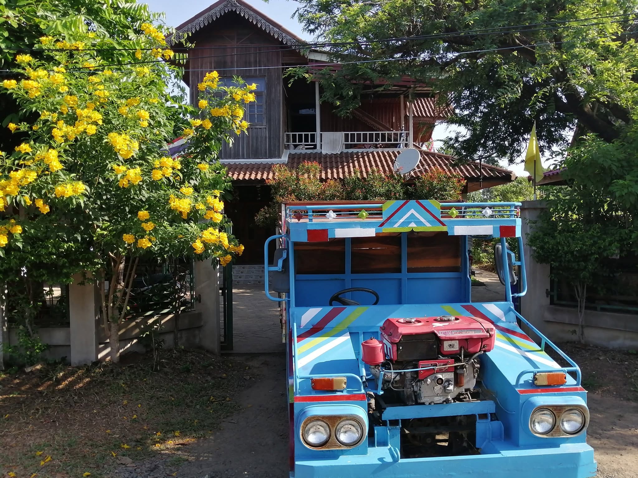 A brightly painted blue farm truck parked in the driveway of a traditional Thai wooden house at Daruma, with a yellow-flowering tree in the foreground